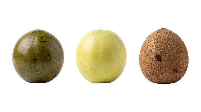 Tropical exotic fruits collection, whole green and brown sapote fruits on white background, fresh organic ingredients for healthy diet