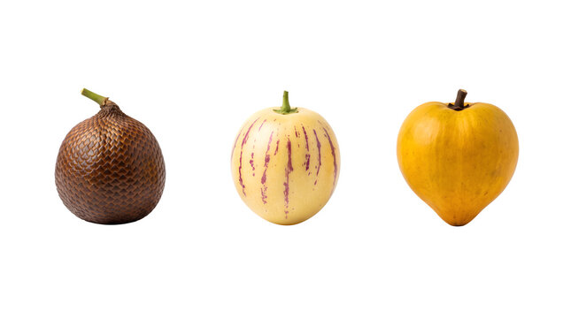 Exotic tropical fruit collection, salak snake fruit with pepino melon and canistel, organic whole fruits on white background