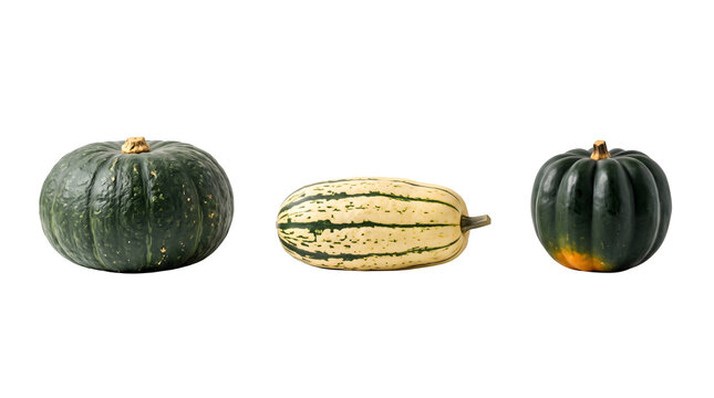 Assorted winter squash collection on white background, kabocha and delicata squash varieties, organic autumn harvest vegetables