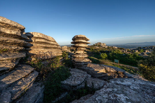 Tornillo en El Torcal de Antequera