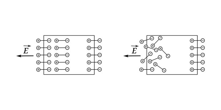 Opposite bound charges appear on the surfaces of a polarized dielectric. In a moderate external electric field, partial dipole alignment produces fewer surface charges than a strong field.