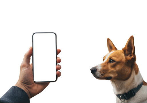 Person holding a smartphone with a cute dog looking at it isolated on transparent background