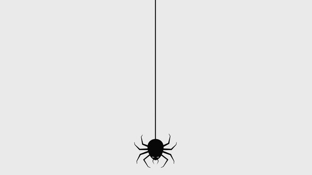 animation of a spider on a transparent background, the spider animation comes down with a web from top to bottom, this animation is made for a Halloween-themed element