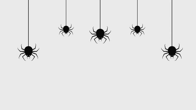 animation of a few spiders on a transparent background, animation of five spiders descending with webs from top to bottom, this animation is made for elements in a Halloween-themed video