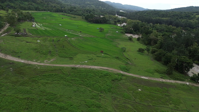 Aerial drone photograph showing lush rice fields surrounded by the rural landscape of Lospalos, Timor-Leste