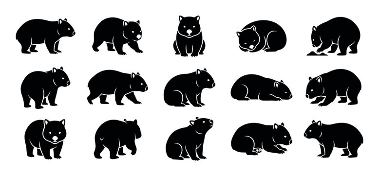Collection of black wombat silhouettes in various poses, including standing, walking, sitting, and sleeping, presented as a graphic icon set for wildlife design