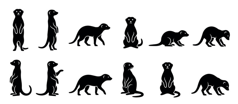 Collection of black meerkat silhouettes in various poses, including standing, sitting, and walking, presented as a simple graphic icon set for wildlife or zoological themes