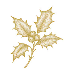 Obraz premium PNG Golden holly leaves illustration.