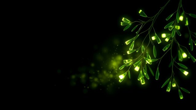 Glowing magical plant branches with bokeh lights on black