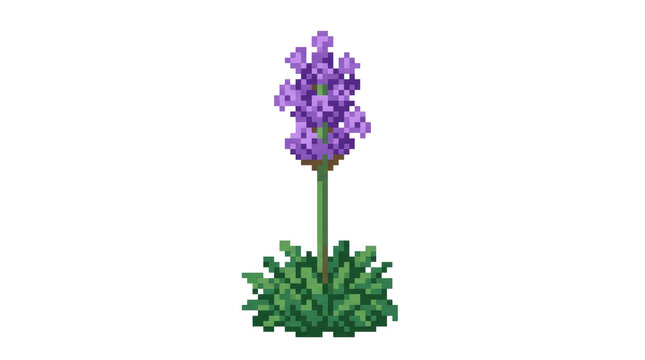 Blooming purple lavender pixel art plant on png background for landscape design