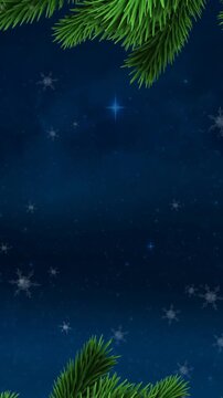 Animation of snow falling with fir tree branches and copy space over stars and night sky