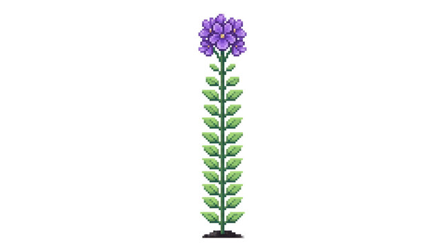 Tall purple lavender stalk pixel art on png background for herb garden graphics.