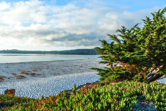 view of Carmel by the sea, California with beach and ocean