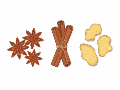 Flat vector illustration of star anise, cinnamon sticks, and sliced ginger root spices