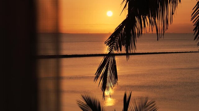 View from a room in an island setting with a transluscent curtain exposing a gorgeous golden sunset colouring the calm ocean with the silhouette of a palm tree in the foreground