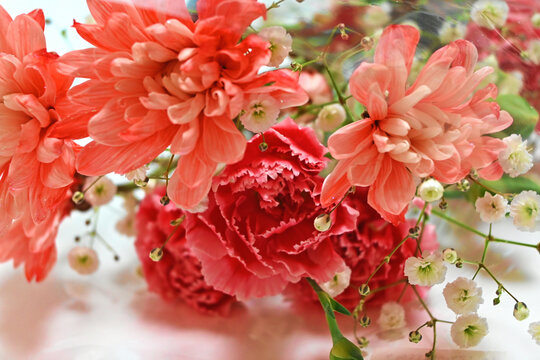 カーネーションの花束