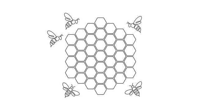 Honey comb and bee line art minimalist design vector graphic