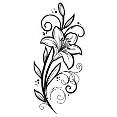 Elegant Lily Flower Line Art Illustration with Swirls and Leaves © pungky