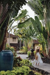 Lush Tropical Banana Leaves in Hawaii Garden © Maria Rasin