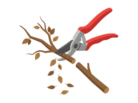 Pruners cutting a dry tree branch with falling leaves in a flat vector illustration style.