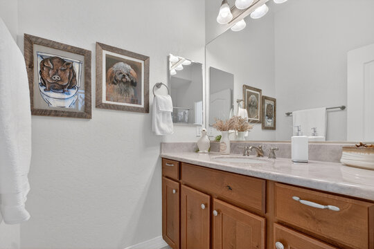 Bathroom vanity with cabinets and marble countertop, framed dog artwork, towels in mirror reflection