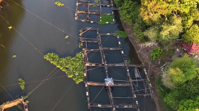 Floating fish cages arranged in a row on the riverbank surrounded by green tropical trees
