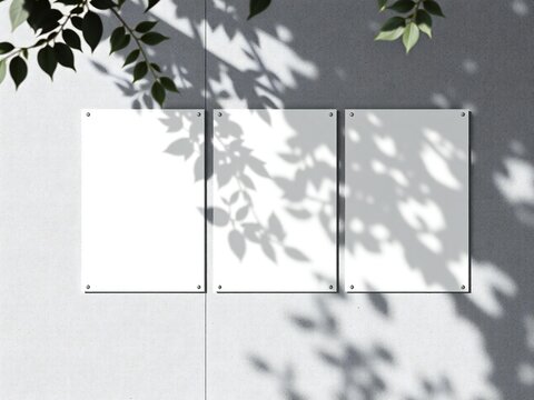 Three blank vertical frames on a wall with soft tree leaf shadows