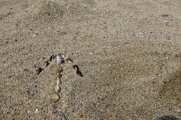 Overhead view of small assorted shells placed on textured coarse sand, creating a minimal beach background with ample copy space. © Maribel Falcon