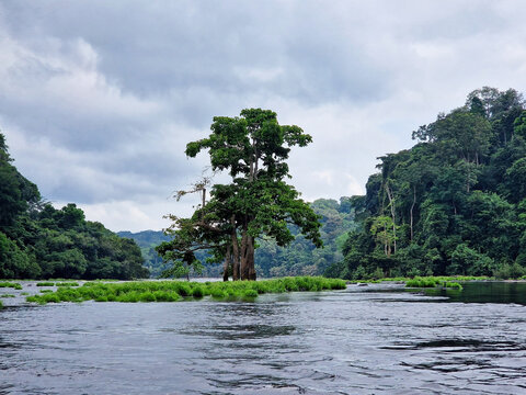 Calm river before Kongou Falls in Gabon