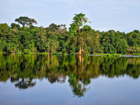 Calm river before Kongou Falls in Gabon