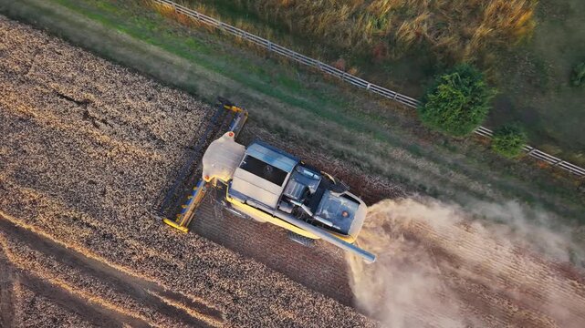 Golden field stretches beneath a harvest machine. Aerial view captures dust rising behind the moving vehicle. Crops yield as the machine methodically collects grain. Farming combine harvester