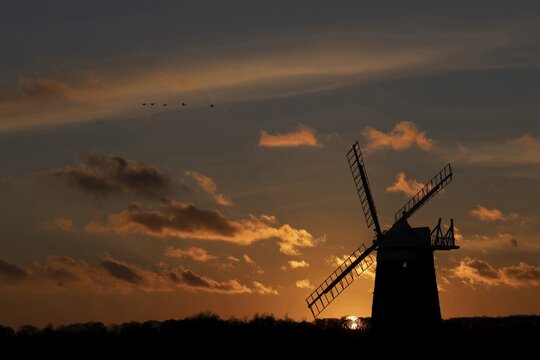 Pink-footed goose (Anser brachyrhynchus) five geese birds flying above a windmill silhouette at sunset, Norfolk, England, United Kingdom