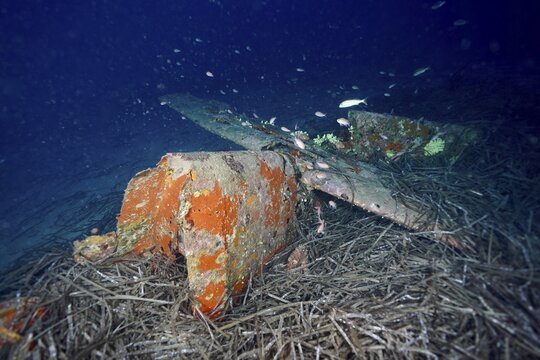 Rusty aircraft wreck under water with fish swimming around and sea grass, Neptune grass (Posidonia oceanica), dive site aircraft wreck Mustang P51, Giens peninsula, Provence Alpes C&ocirc;te d'Azur, France