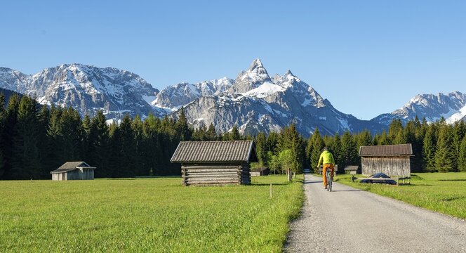 Mountain biker on road through meadow with hay barns, behind snowy mountain peaks in spring, Mieminger Kette with Ehrwalder Sonnenspitze, Ehrwald, Tyrol, Austria