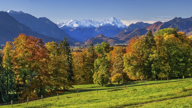 Autumn landscape near Hagen with Zugspitze group 2962m in the Wetterstein mountains, Murnau, Das Blaue Land, Upper Bavaria, Bavaria, Germany