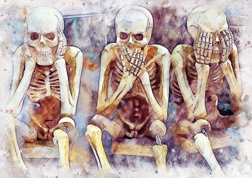 human skeleton