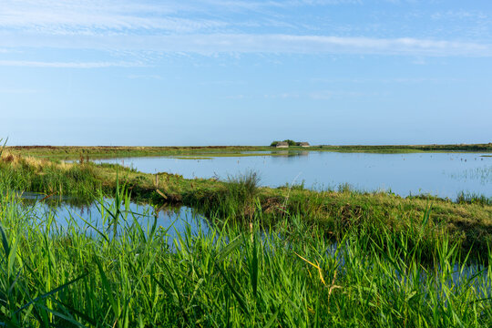 Peaceful wetland landscape, green lush vegetation and freshwater lagoons and reed-beds at Cley-Next-The-Sea on the north coast of Norfolk, England.