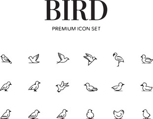 Fototapeta premium Premium Bird Icon Set Featuring Line Art Avian Symbols for Web and Graphic Design