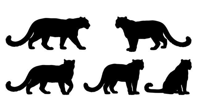 snow leopard realistic black shadow silhouette isolate vector set