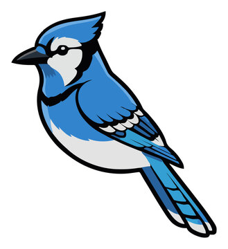 Beautiful blue jay bird perspective vector illustration. Generative AI
