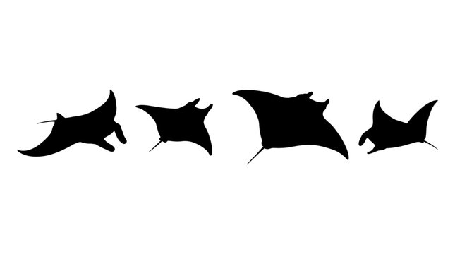 manta ray realistic black shadow silhouette isolate vector set