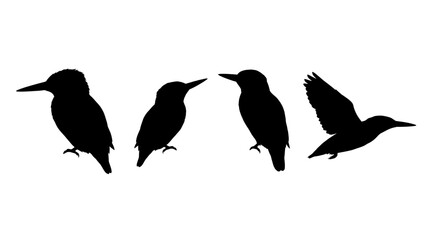 Obraz premium kingfisher realistic black shadow silhouette isolate vector set
