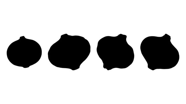 jicama realistic black shadow silhouette isolate vector set
