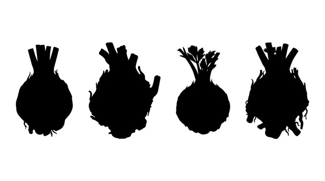 celeriac realistic black shadow silhouette isolate vector set