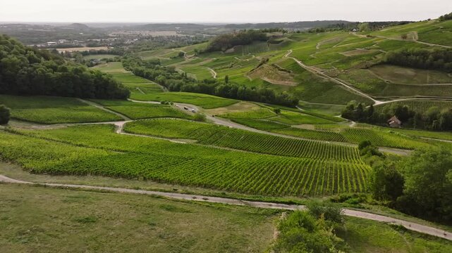 Vue aerienne du vignoble de Chateau Chalon dans la recul&eacute;e du Jura