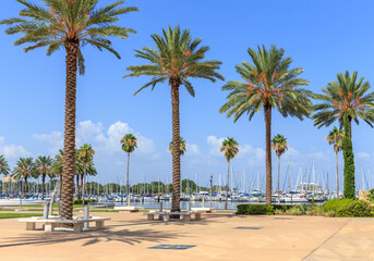 Obraz premium Bay with yachts in St. Petersburg, Florida, USA