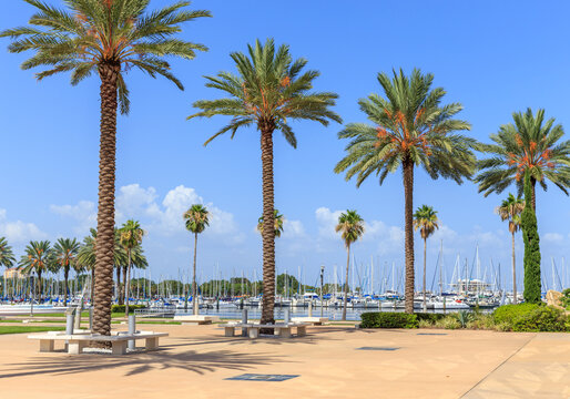 Bay with yachts in St. Petersburg, Florida, USA