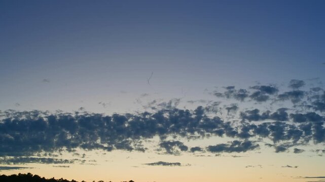 Flock of birds flying in formation in the twilight sky above a layer of textured clouds at sunset. Beautiful natural scenery during dusk or evening golden hour, low angle static handheld shot.