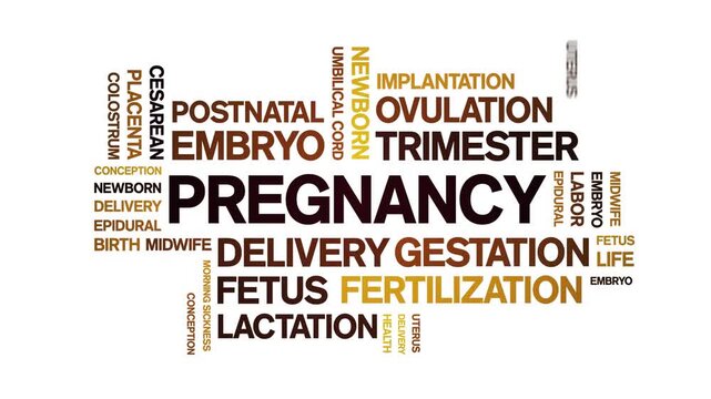 Pregnancy animated word cloud-animation tag kinetic typography seamless loop.
