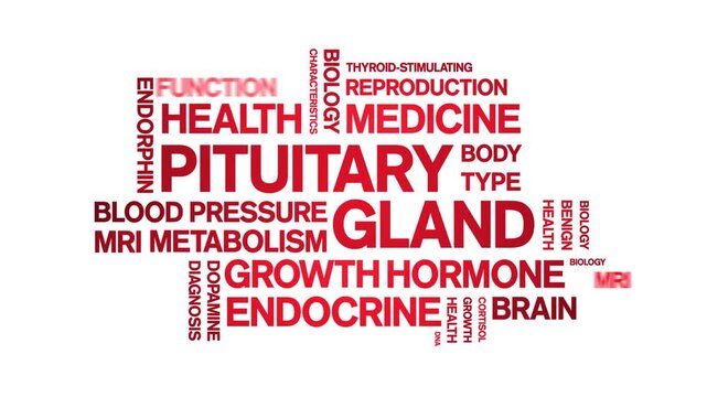 Pituitary Gland animated word cloud-animation tag kinetic typography seamless loop.